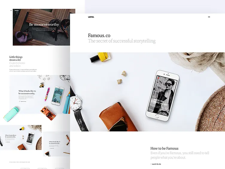 Famous website design